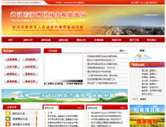 武漢網(wǎng)站建設與軟件開發(fā) 陸叁玖科技的專業(yè)服務指南